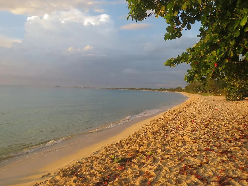 A Piece Of Paradise Montego Bay Hotel